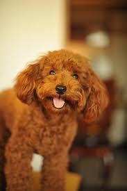 395617_10201239414010969_2072260736_n