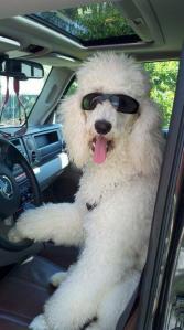 525181_10151462661708208_1449155465_n