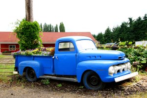 OldTruckGardens2