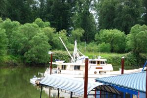 SauvieIslandBringMoney