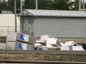 TVMpileNearRubyThroat