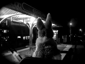 BenjaminBunnyReadyToGoWest