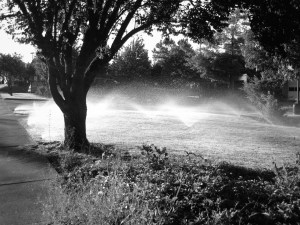 FirehouseSprinklers2