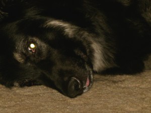 WittleTongueStickingOut