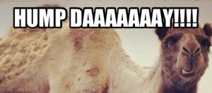 tumblr_moat5kahpY1ruoh2yo1_500