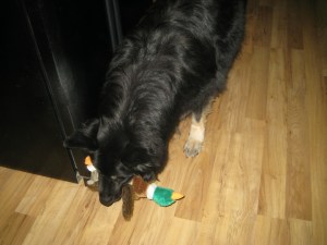 BearWaitingForBallKickedHall