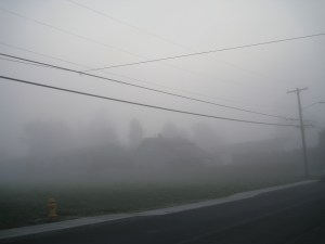 LovingTheFoggyMorning