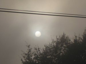 SunsInTheFog