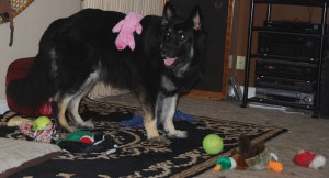 WheresThePinkPigBear