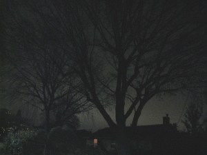 DarkMorningSilhouetteFun