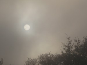 FoggySun