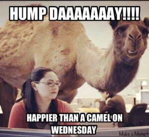 Hump-day