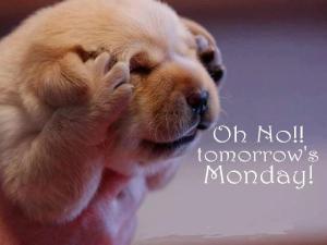 mondaybluespup