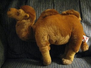 Camel1