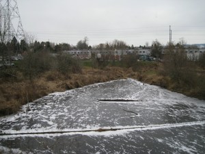 FrozenBirdSantuaryPond
