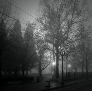 LloydCenterParkBWfun1