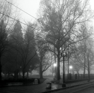 LloydCenterParkBWfun2