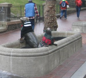 LoveThisSweatersSeals