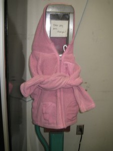 OldFareBoxDressed4Winter