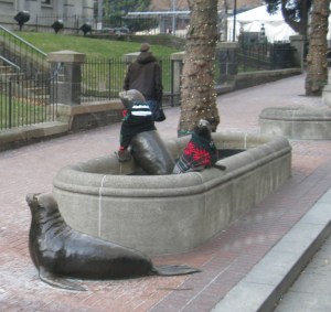 SealsApproveSweaters