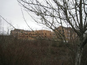 ConstructionNearElmonica