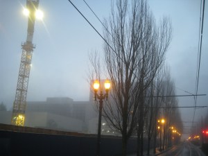 FoggyMorning
