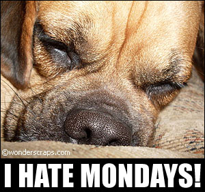 monday-blues001