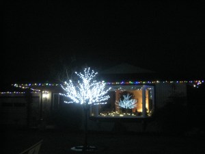 NeighborsLights2