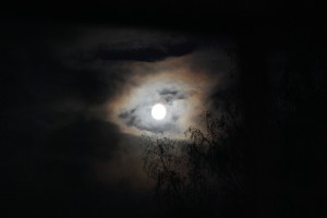 MoonClouds