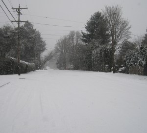 SnowQuietStreet