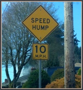 SpeedHumpSign