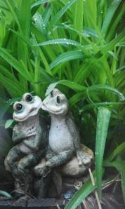 SisTracysFrogs