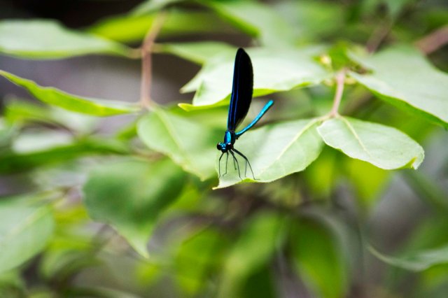 If you like my body and you think I'm...