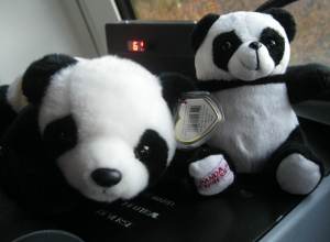 PandaPets
