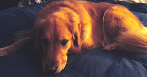 “Kindness can become its own motive. We are made kind by being kind.” – Eric Hoffer