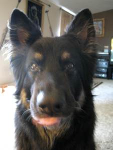 StickingHisTongueOut