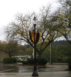 BeautifulLightOregonCity