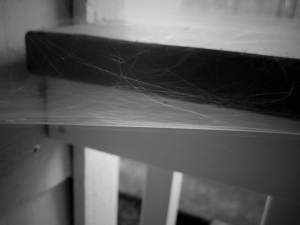 SpideysWebWithDinner