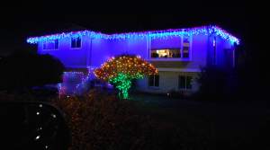 ANeighborsPrettyLights