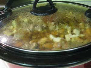 CrockPotSlumgullionStew