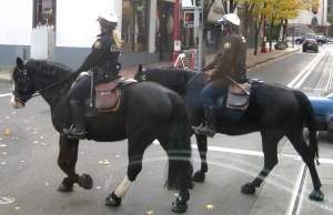 PortlandPoliceMountedPatrol