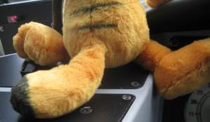 GarfieldDoingTheSplits