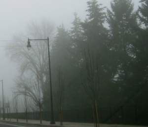 Foggy2
