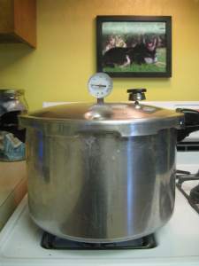 PressureCookingGoodness