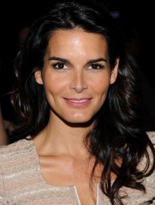 angie-harmon
