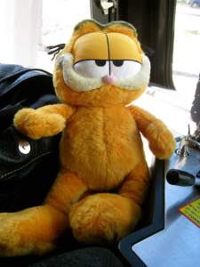 GarfieldTrainPetSmiles