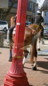 MountedPoliceWorking