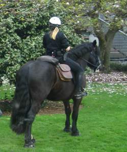 PortlandHorsePolice