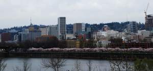 PortlandSkyline