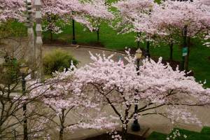 WaterfrontParkBeauty2